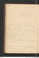 Seite 100, Tagebuch "Mießlingtal b[ei Spitz]" (NHMW-PRAE-BBB-28)